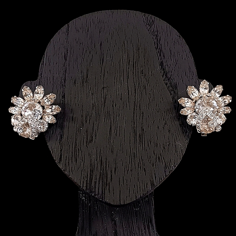Eisenberg Earrings